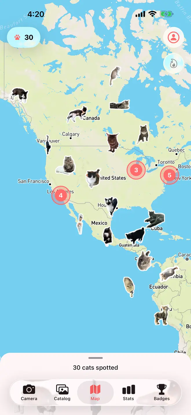 The Pawsport map across North and South America, scattered with cut-out cat stickers sitting where each one was photographed, and red cluster badges reading 3, 4, and 5 over Detroit, New York, and Los Angeles