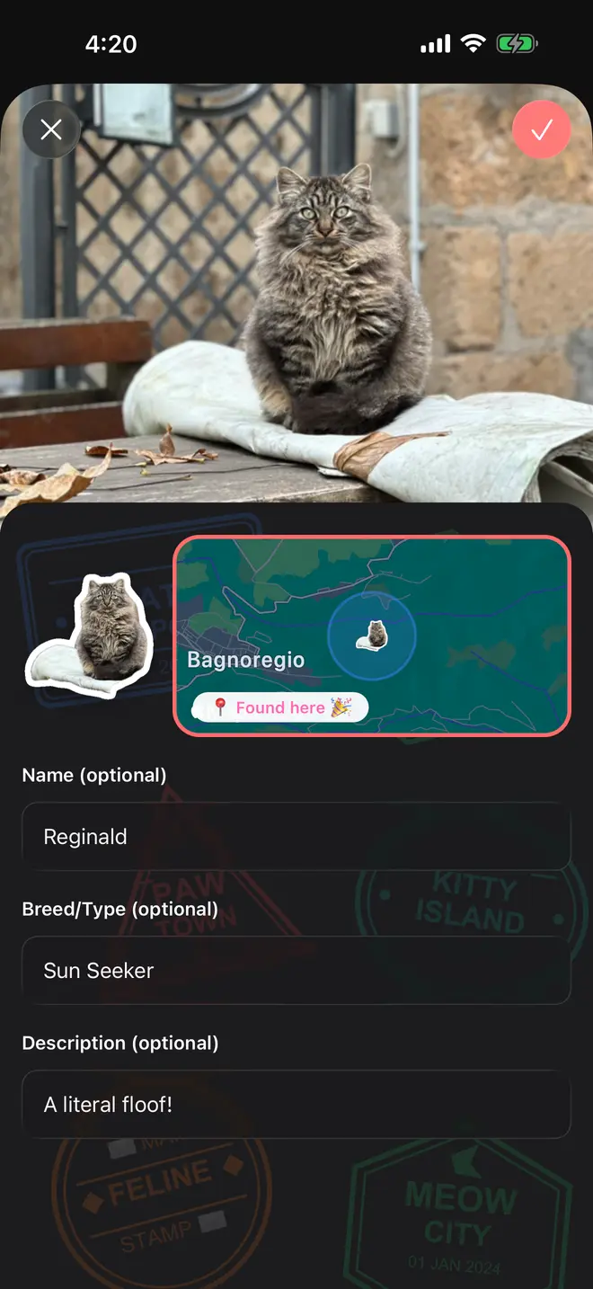 The capture form: the photo at the top, the cut-out sticker beside a map of Bagnoregio tagged "Found here", and the name, breed, and description fields filled in with Reginald, Sun Seeker, and "A literal floof!"